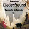 Liederfreund - Karaoke Songs: Deutsche Volkslieder, Vol. 1